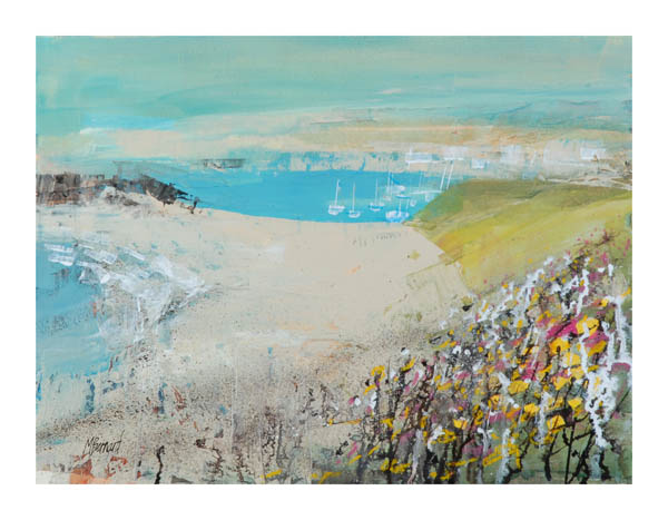 Coastal Bude